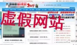 哈尔滨教育爆料视频最新,揭秘校园内幕，关注学生权益