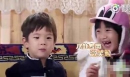 吃瓜娱乐圈八卦400页,吃瓜群众必看八卦盛宴