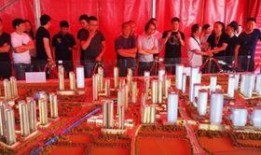 深圳沙井最新爆料,揭秘区域发展新动态与未来规划