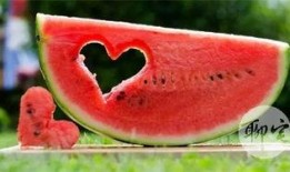 如何免费吃瓜,轻松解锁瓜界盛宴